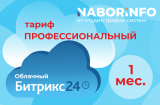 Тариф Профессиональный, облачная версия, 1 мес.