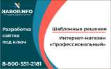 Интернет-магазин Профессиональный