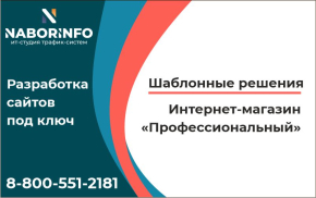 Интернет-магазин Профессиональный